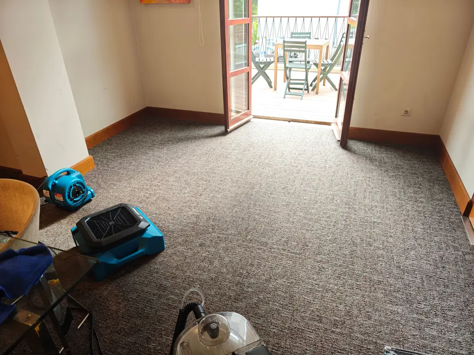 Sala com alcatifa cinzenta e equipamento de limpeza e secagem