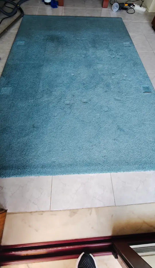 Tapete azul com manchas escuras, antes da limpeza