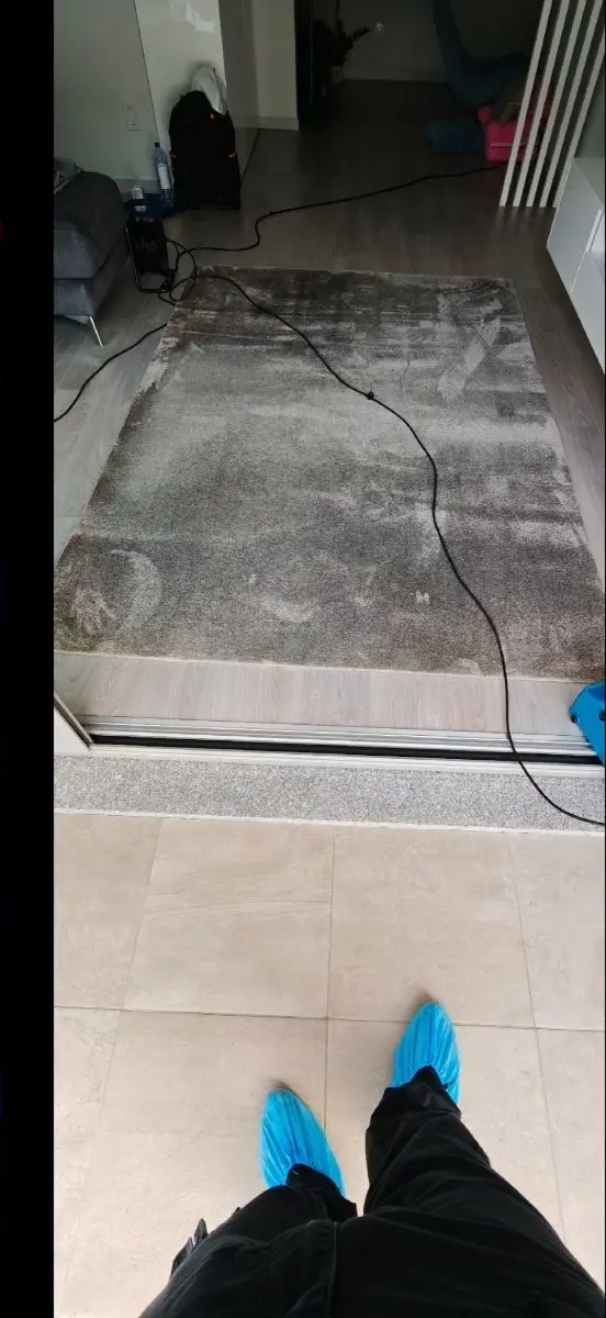 Tapete cinzento escurecido e com marcas, antes da limpeza